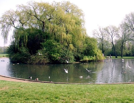 Cutteslowe Park Pond